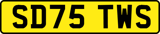 SD75TWS