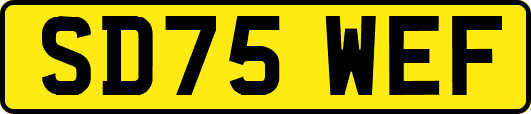 SD75WEF