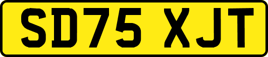 SD75XJT