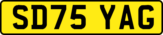SD75YAG