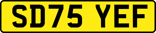 SD75YEF