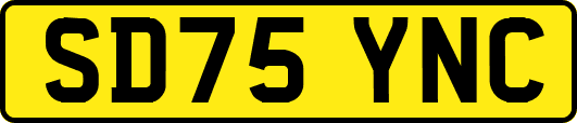 SD75YNC