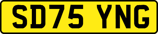 SD75YNG