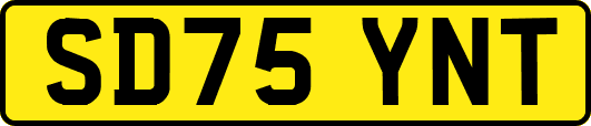 SD75YNT