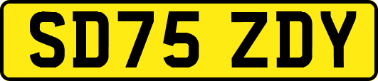 SD75ZDY