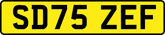 SD75ZEF