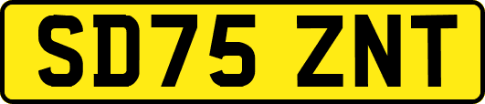 SD75ZNT