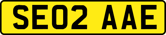SE02AAE