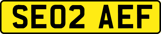 SE02AEF