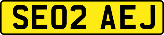SE02AEJ
