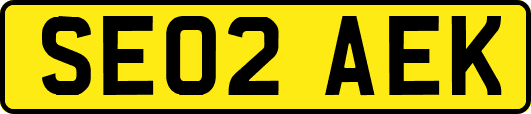 SE02AEK