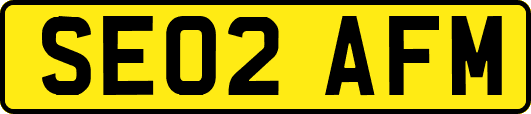 SE02AFM