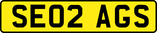 SE02AGS