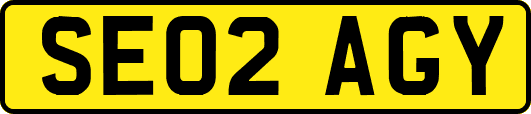 SE02AGY