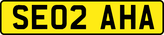 SE02AHA