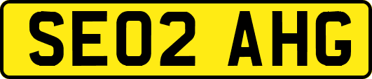 SE02AHG