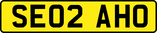 SE02AHO