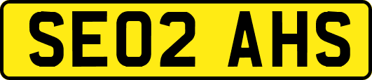 SE02AHS