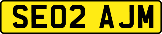 SE02AJM