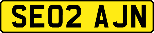 SE02AJN