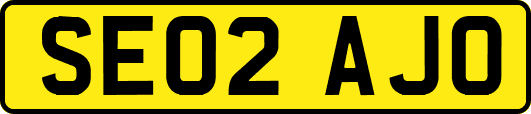 SE02AJO