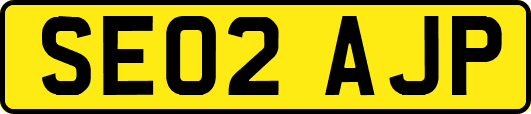 SE02AJP