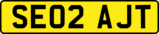 SE02AJT