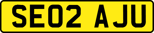 SE02AJU