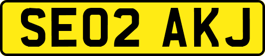 SE02AKJ