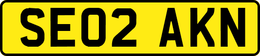 SE02AKN