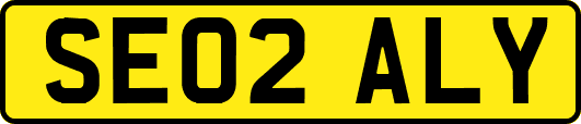 SE02ALY
