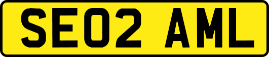 SE02AML