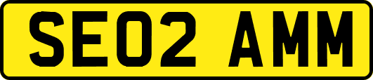 SE02AMM