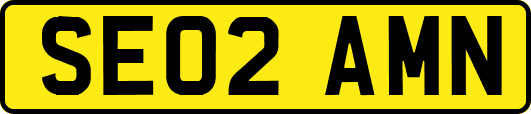 SE02AMN
