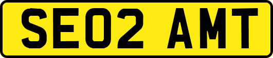 SE02AMT