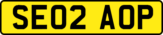 SE02AOP