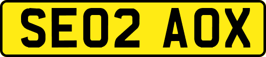 SE02AOX