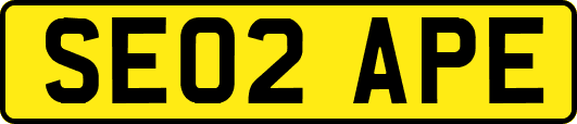 SE02APE