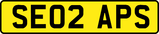 SE02APS