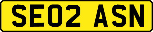 SE02ASN