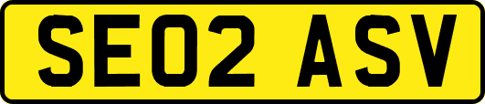SE02ASV
