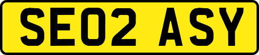 SE02ASY
