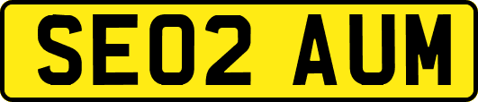 SE02AUM