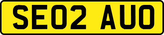 SE02AUO