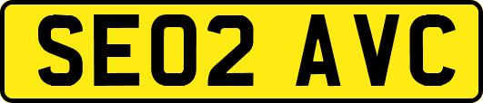 SE02AVC