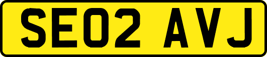 SE02AVJ