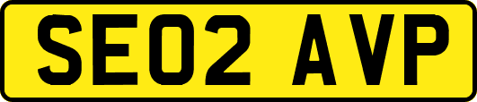 SE02AVP
