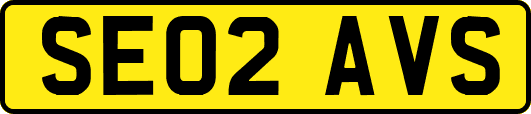 SE02AVS