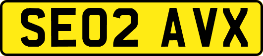 SE02AVX
