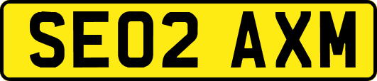 SE02AXM